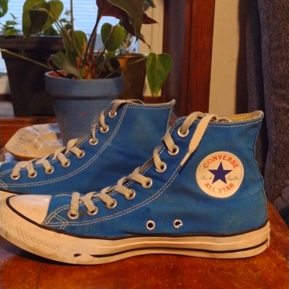 Converse Chuck Taylor All Star canvas high tops
